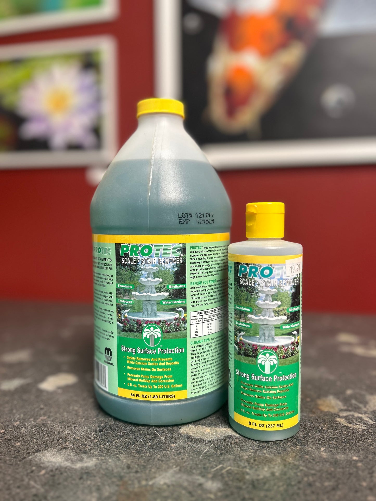 ProTec Scale Remover