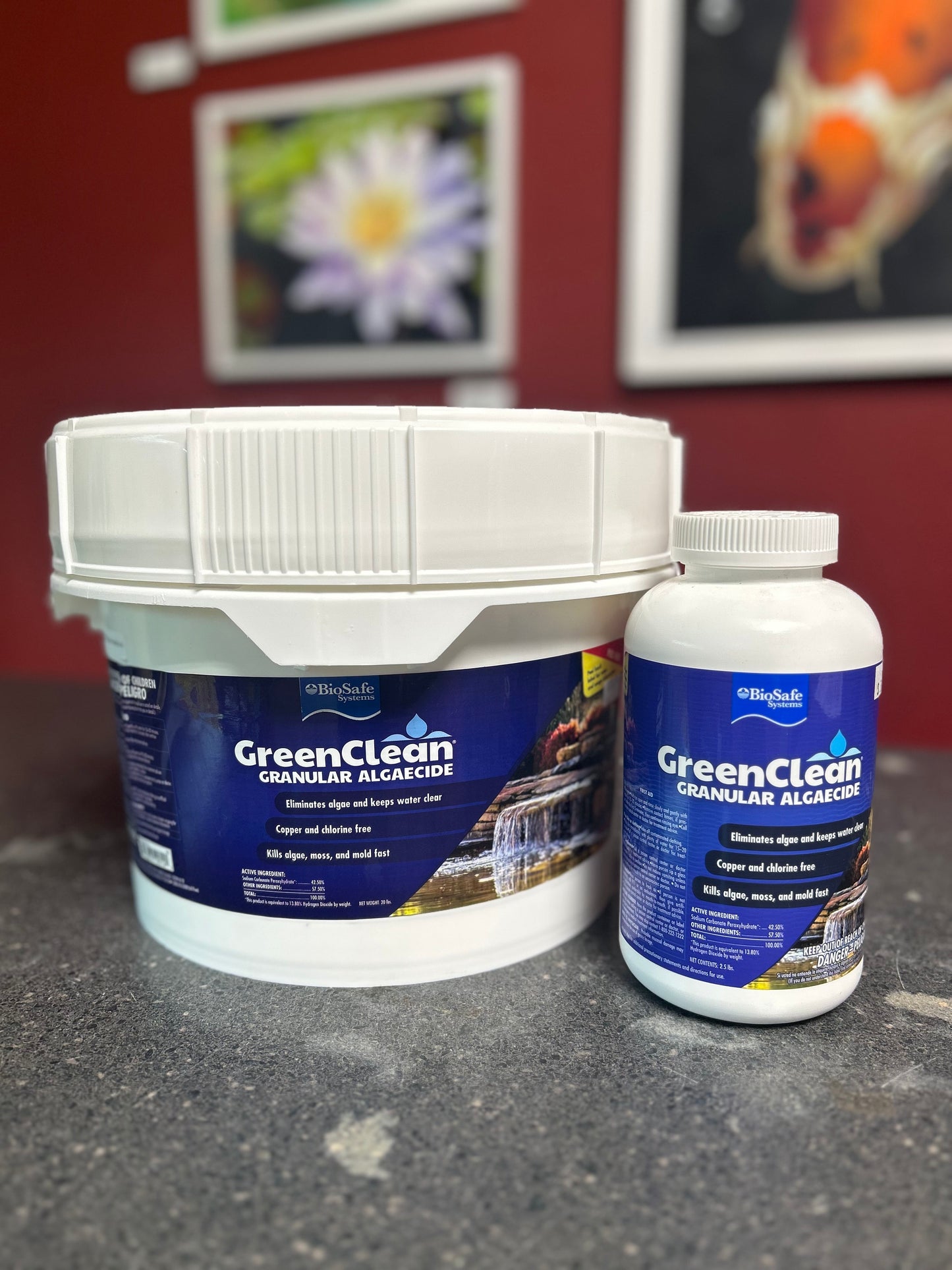 GreenClean FX Granular Algaecide